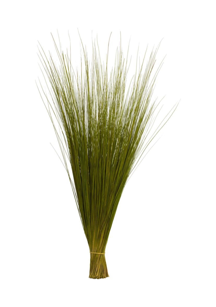 Basil Bright Grass