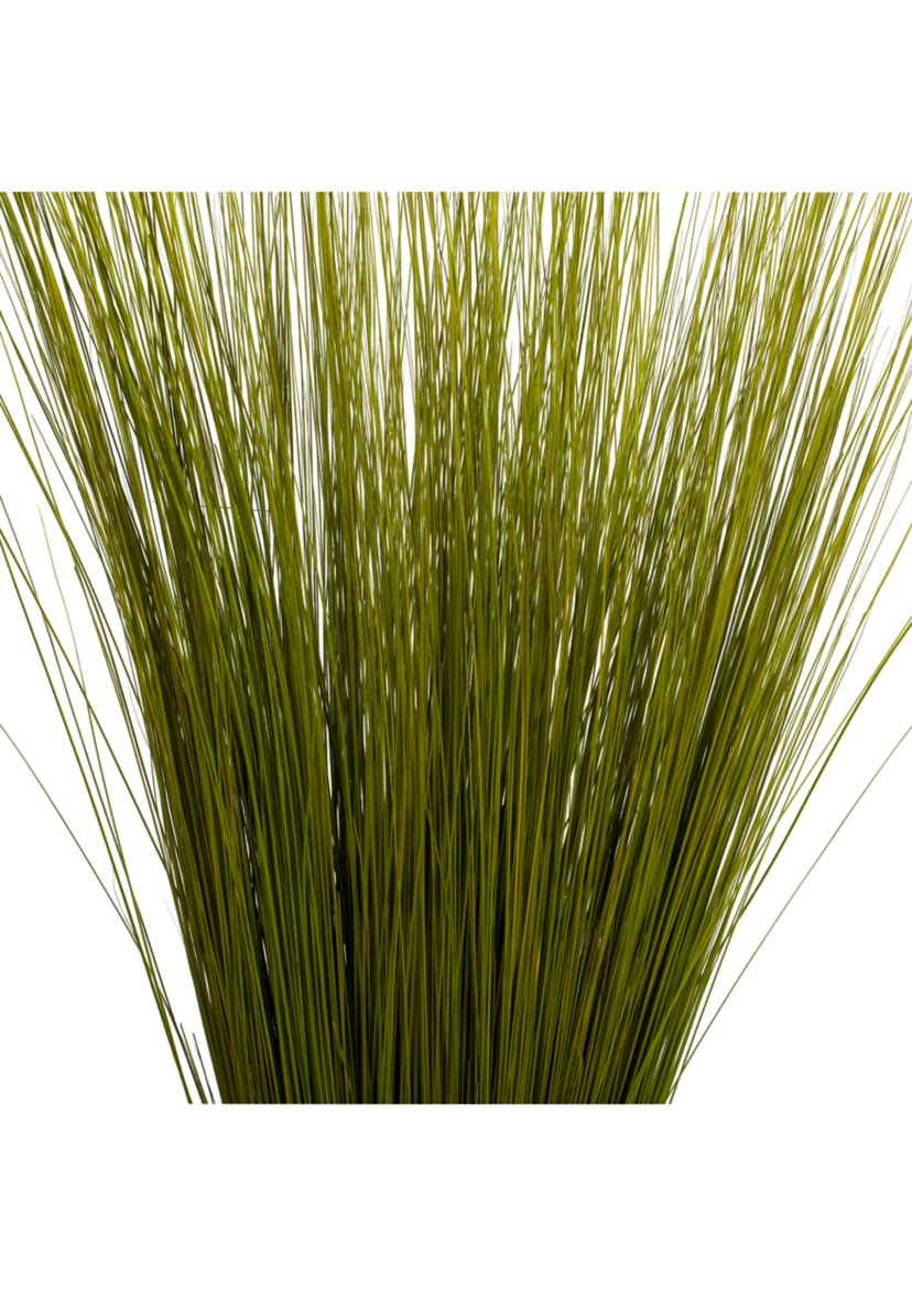 Basil Bright Grass