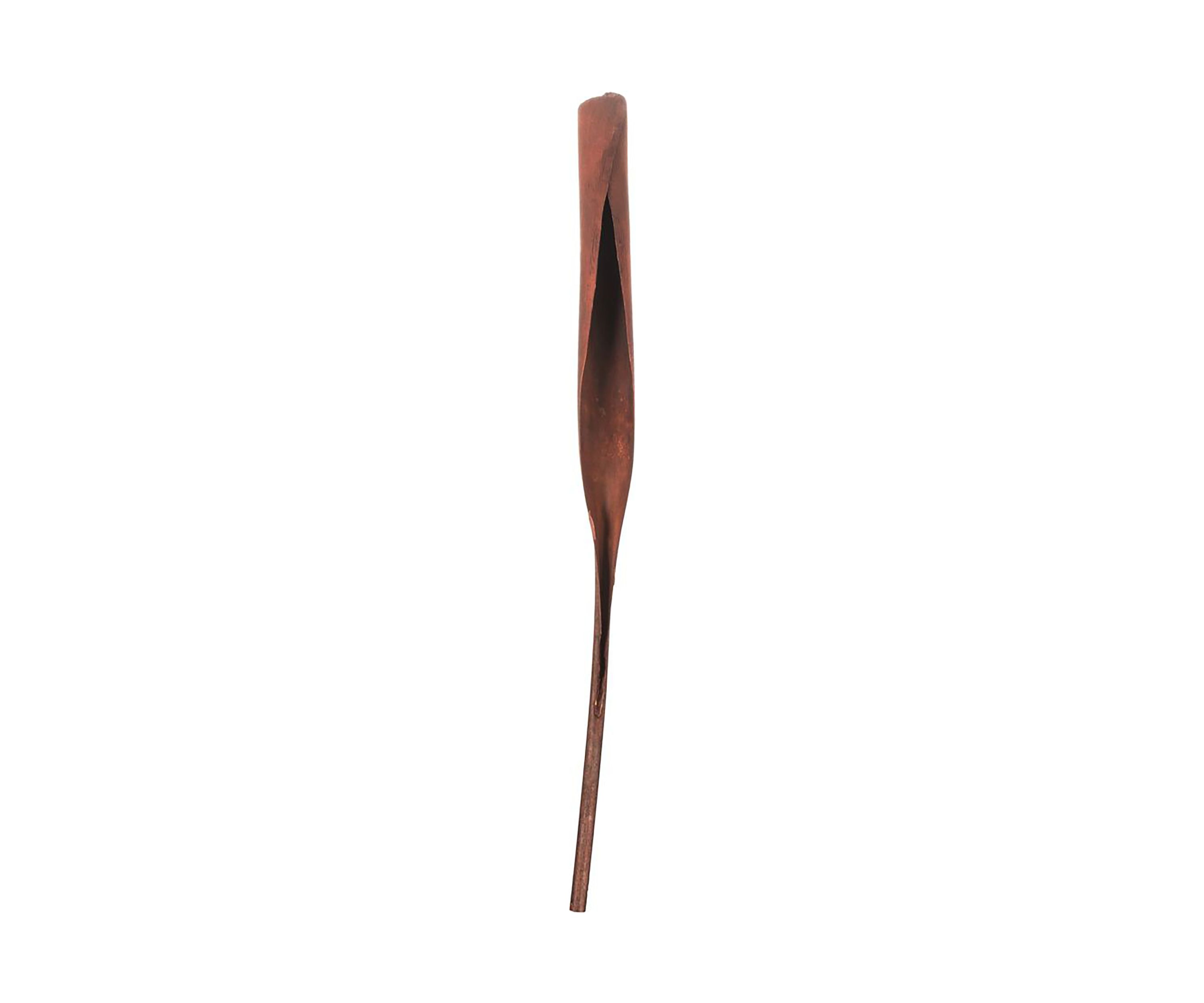 Natural Cavalo Horn, 2 pack, Dried