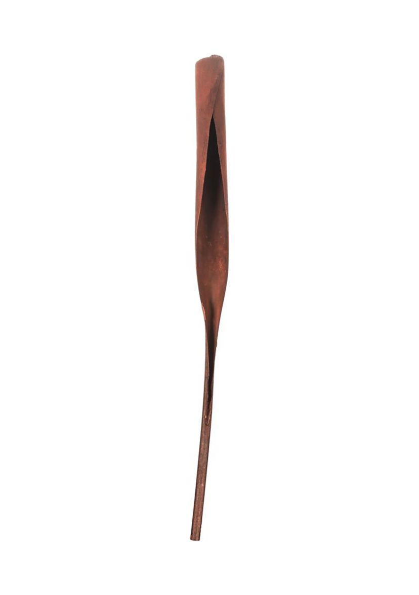 Natural Cavalo Horn, 2 pack, Dried