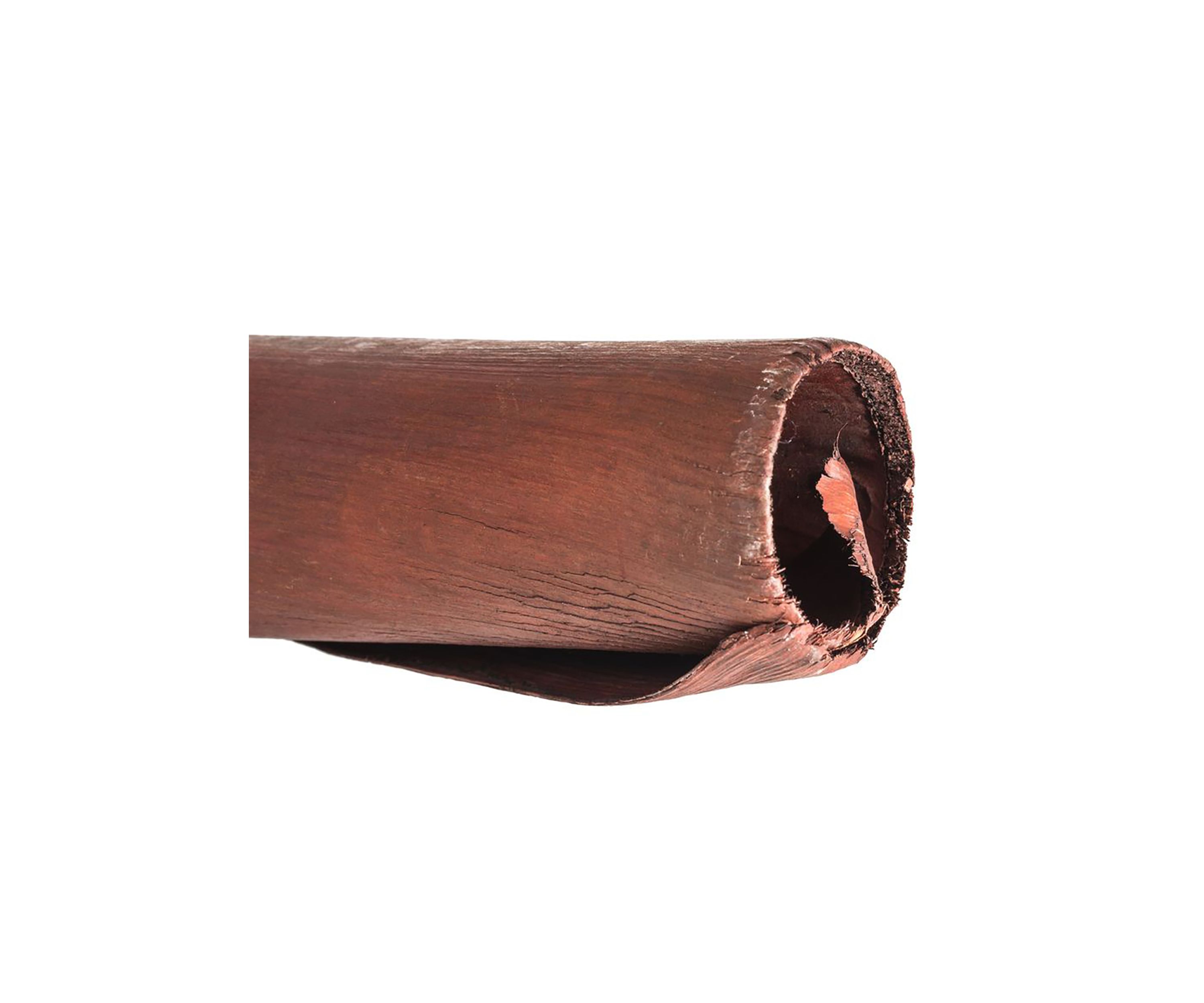 Natural Cavalo Horn, 2 pack, Dried