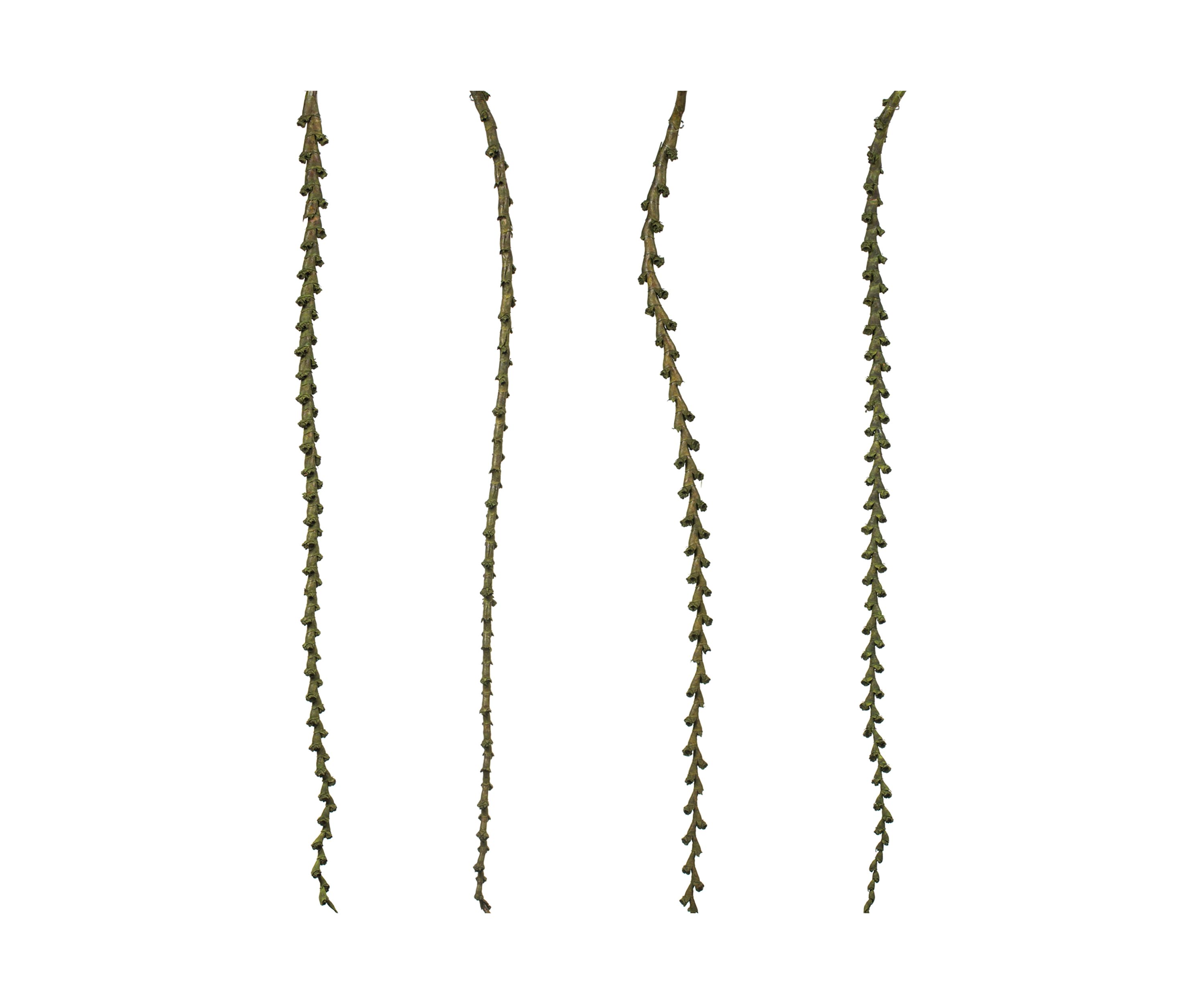 Basil Ladder Branches