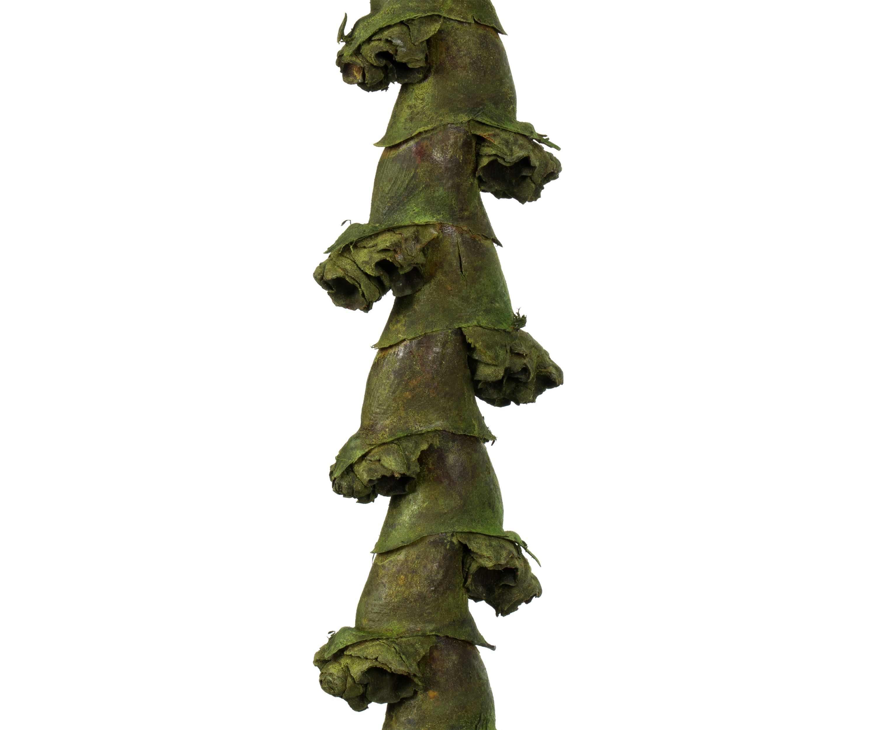 Basil Ladder Branches