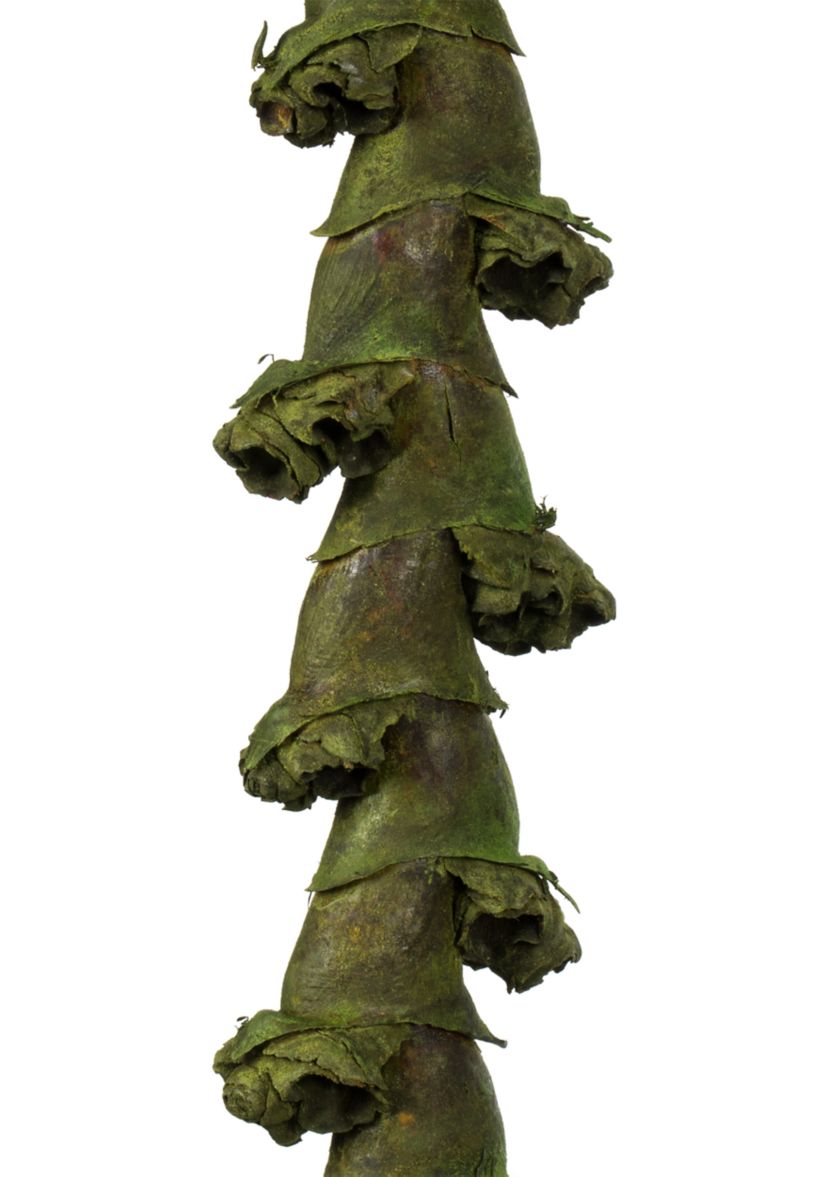 Basil Ladder Branches