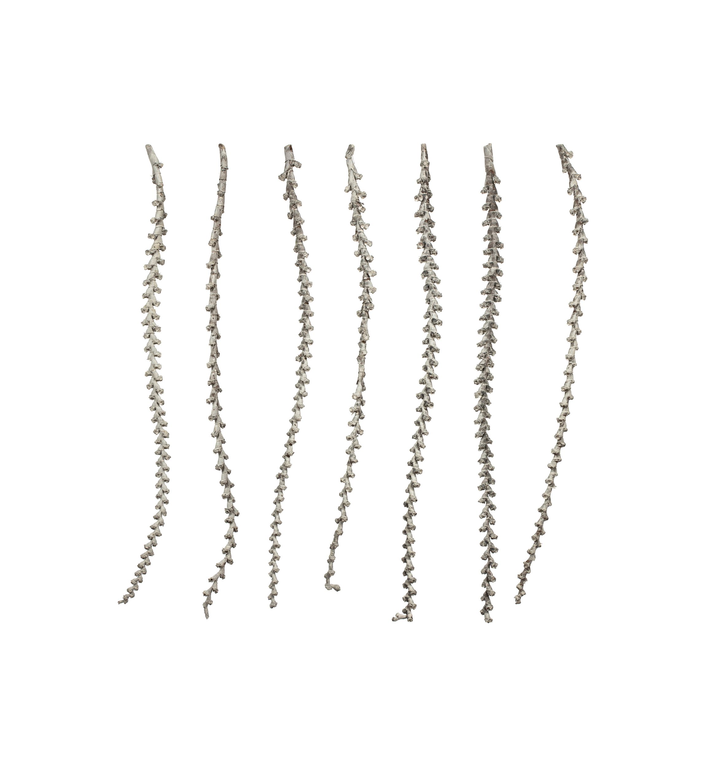 White Wash Ladder Branches