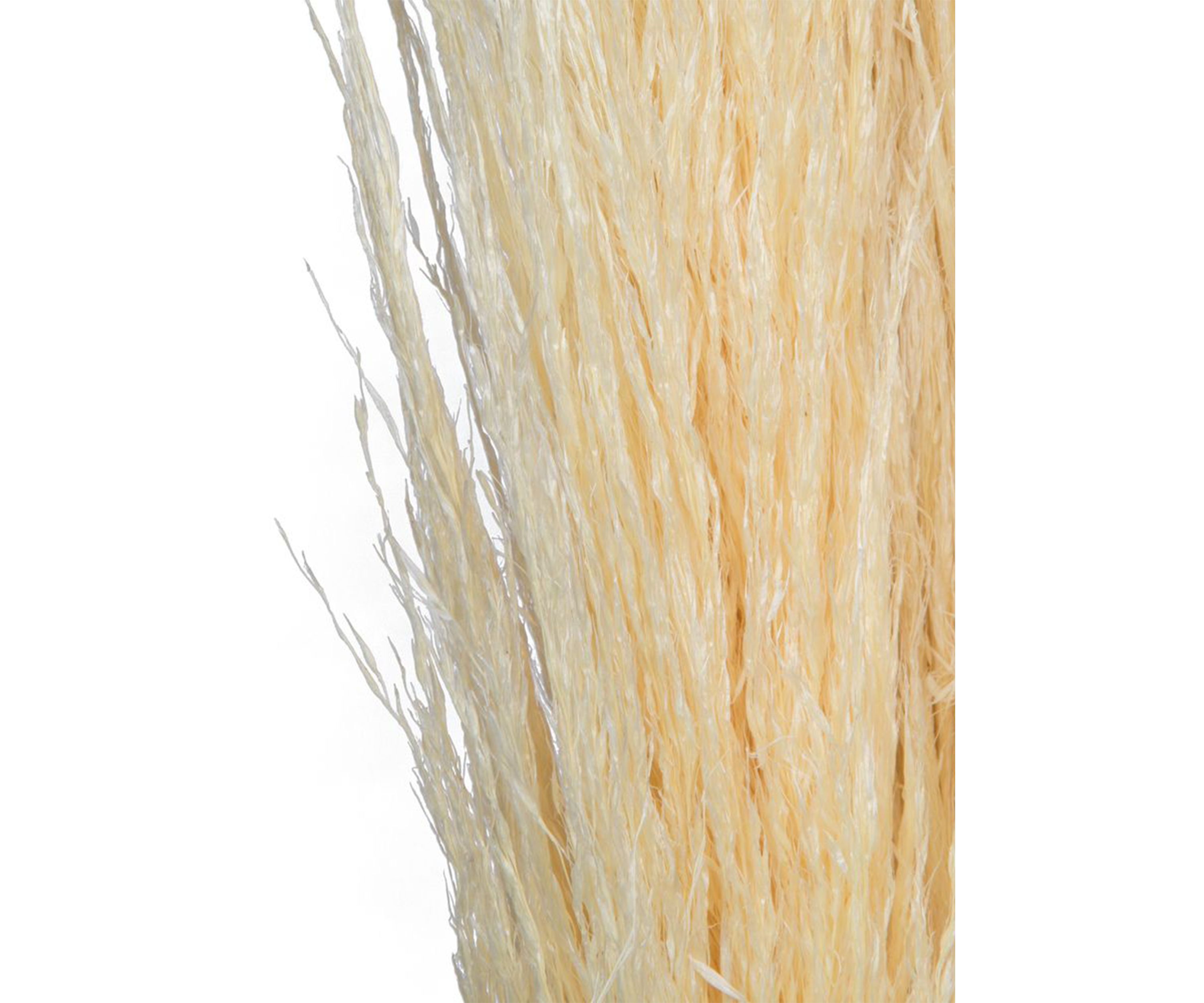 Dried Pampas Grass, 6 pieces per Pack.