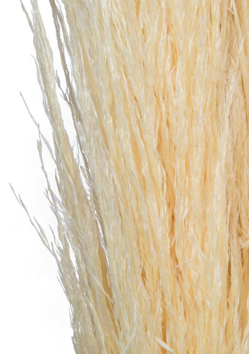 Dried Pampas Grass, 6 pieces per Pack.