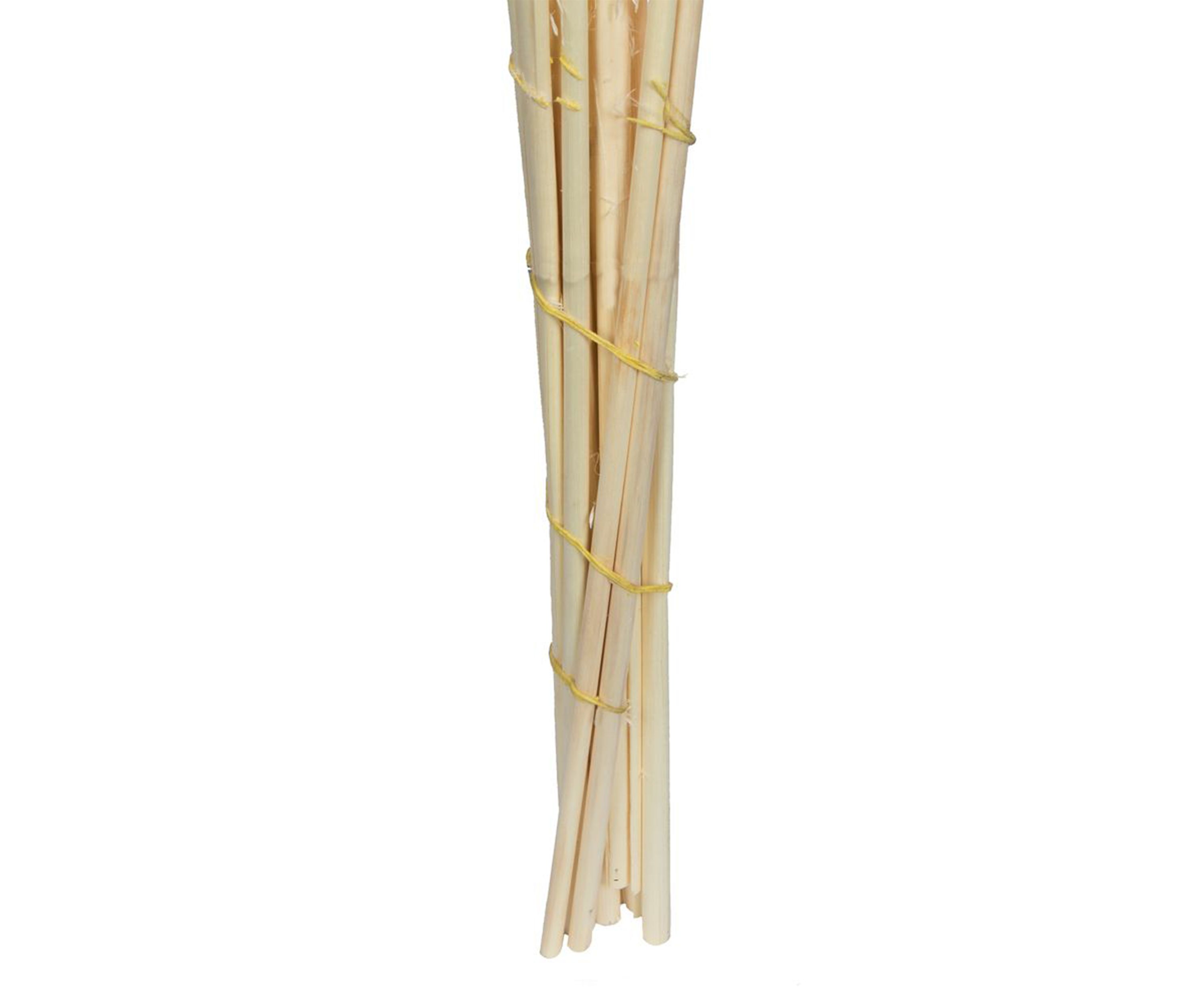Dried Pampas Grass, 6 pieces per Pack.