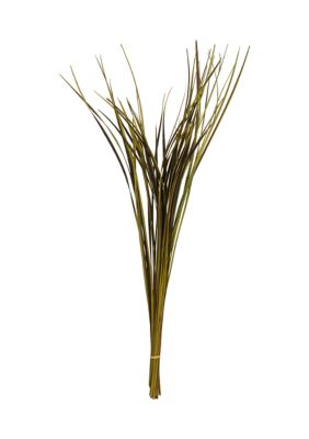 Vickerman Basil Splinter Grass