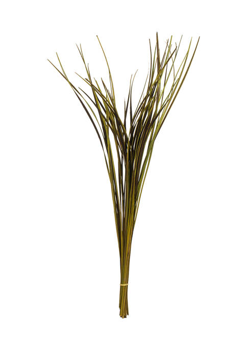 Basil Splinter Grass