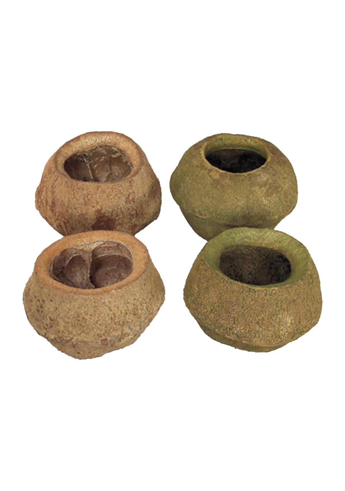 Sapa Pod, 3 pack, Dried