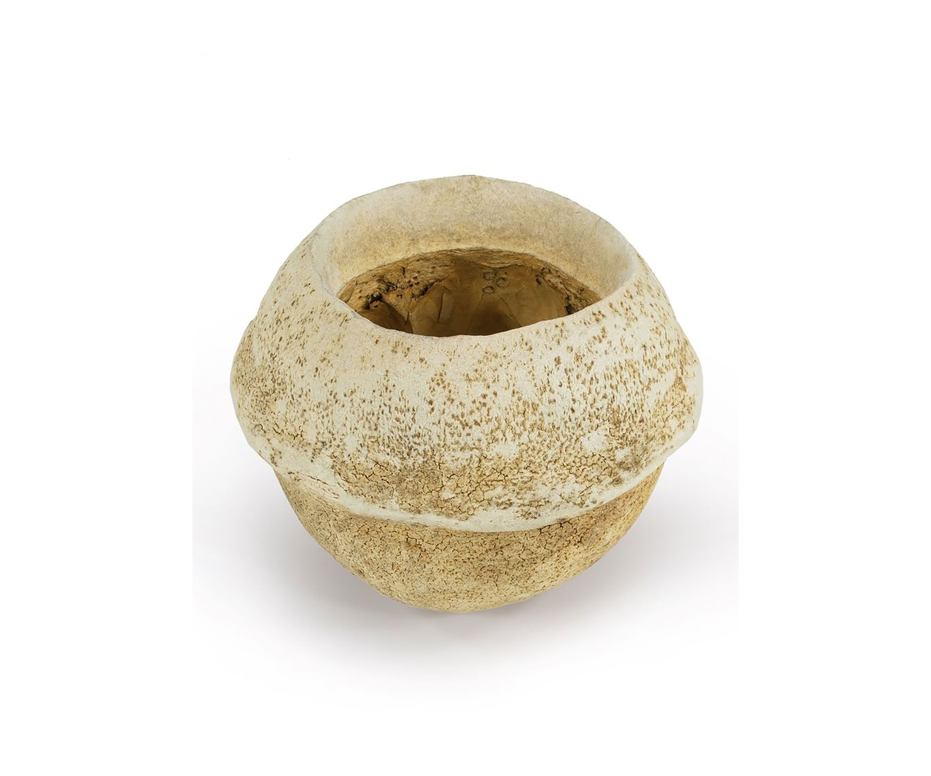 Sapa Pod, 3 pack, Dried
