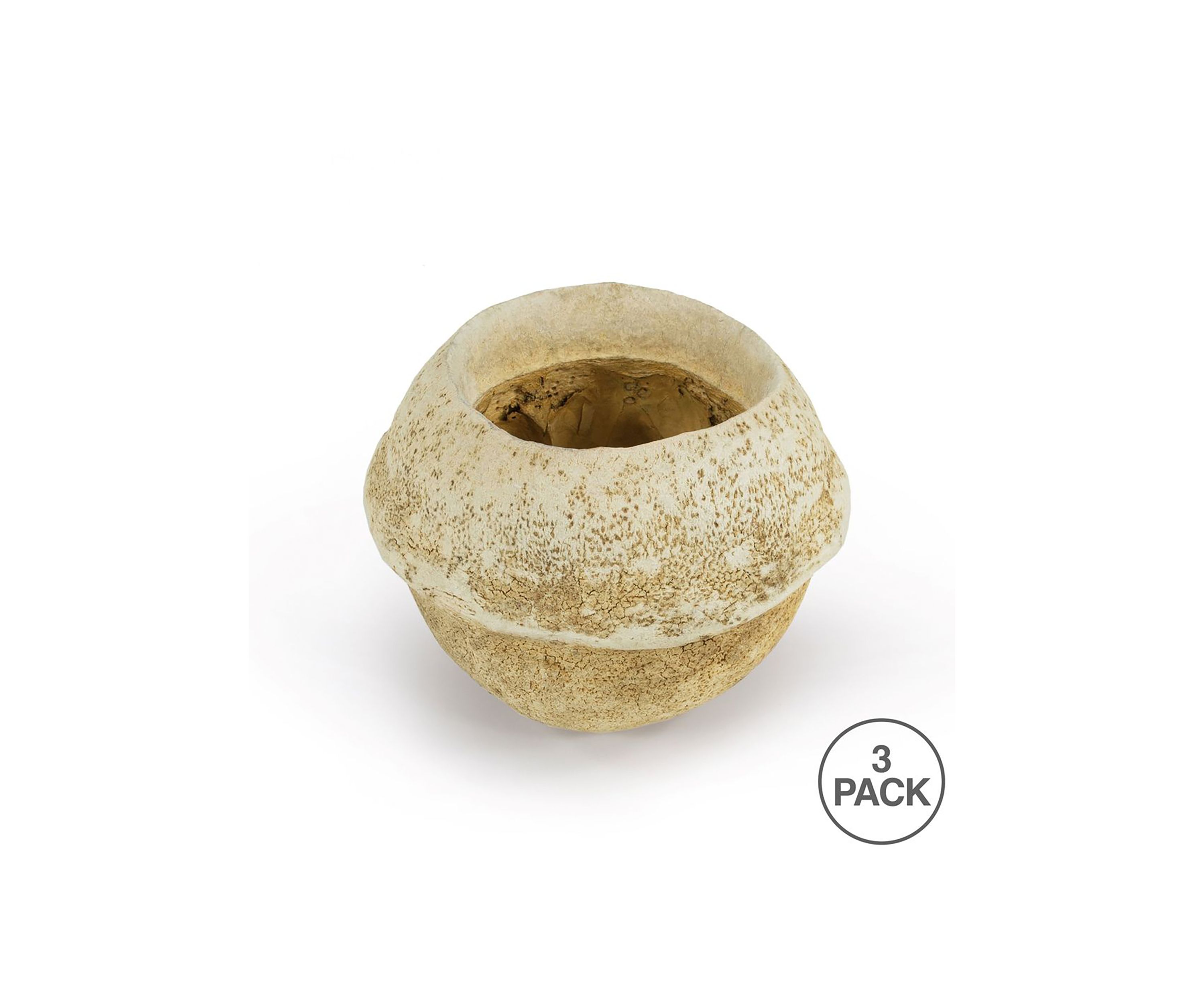 Sapa Pod, 3 pack, Dried