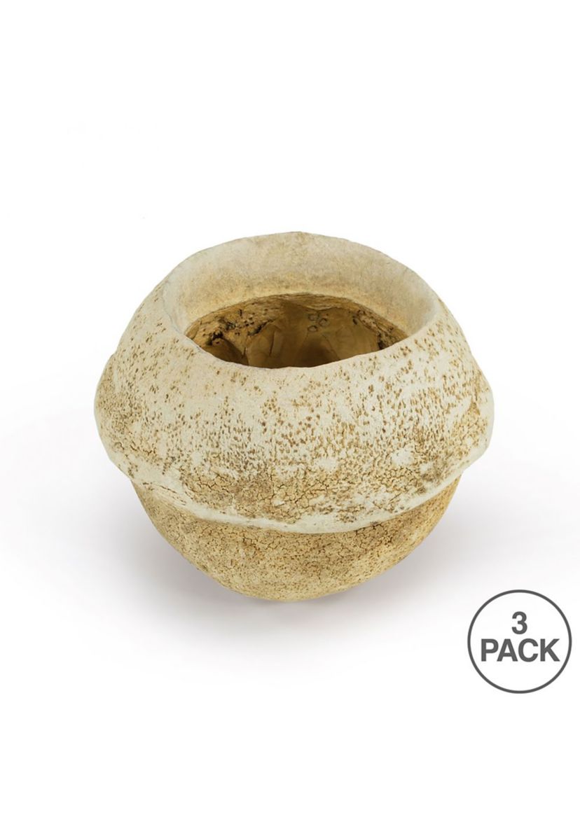 Sapa Pod, 3 pack, Dried