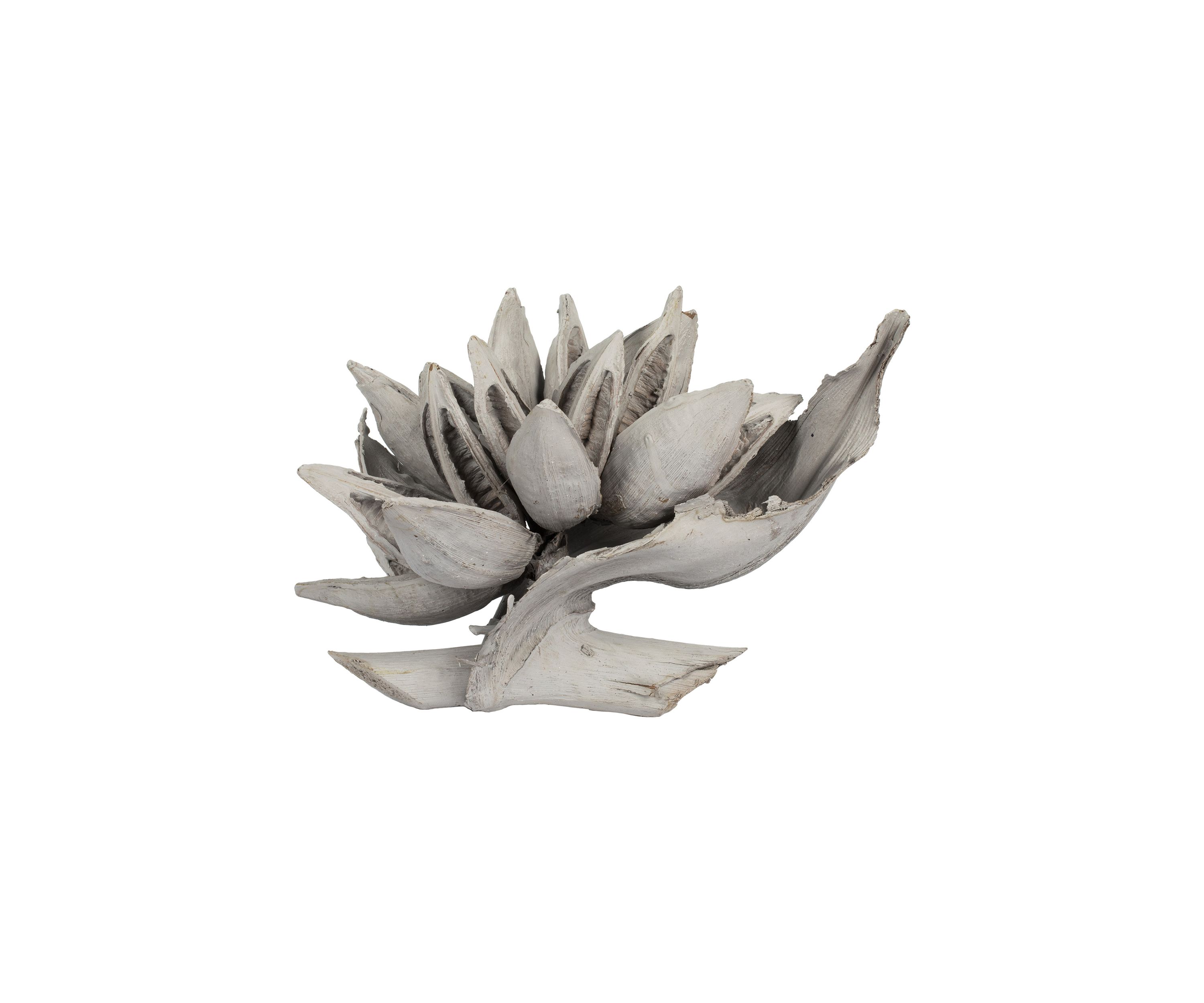 Gray Wash Star Pod