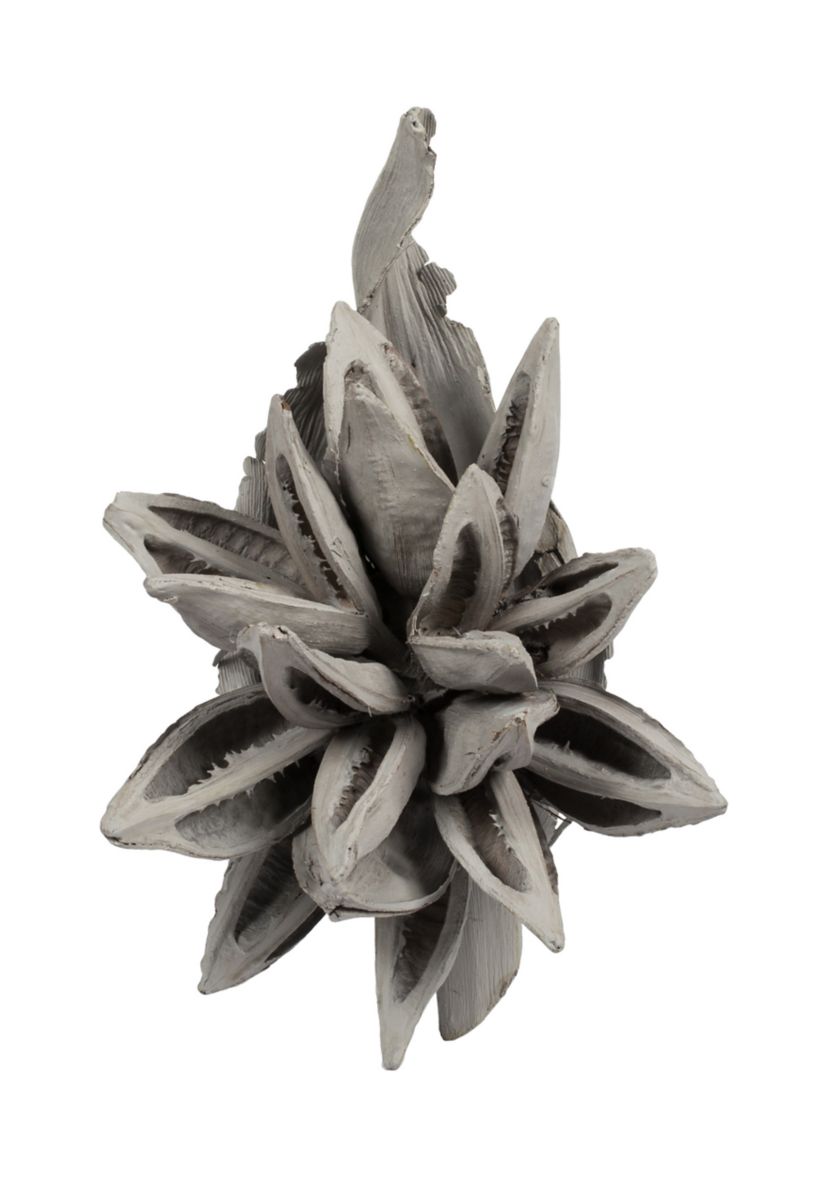 Gray Wash Star Pod