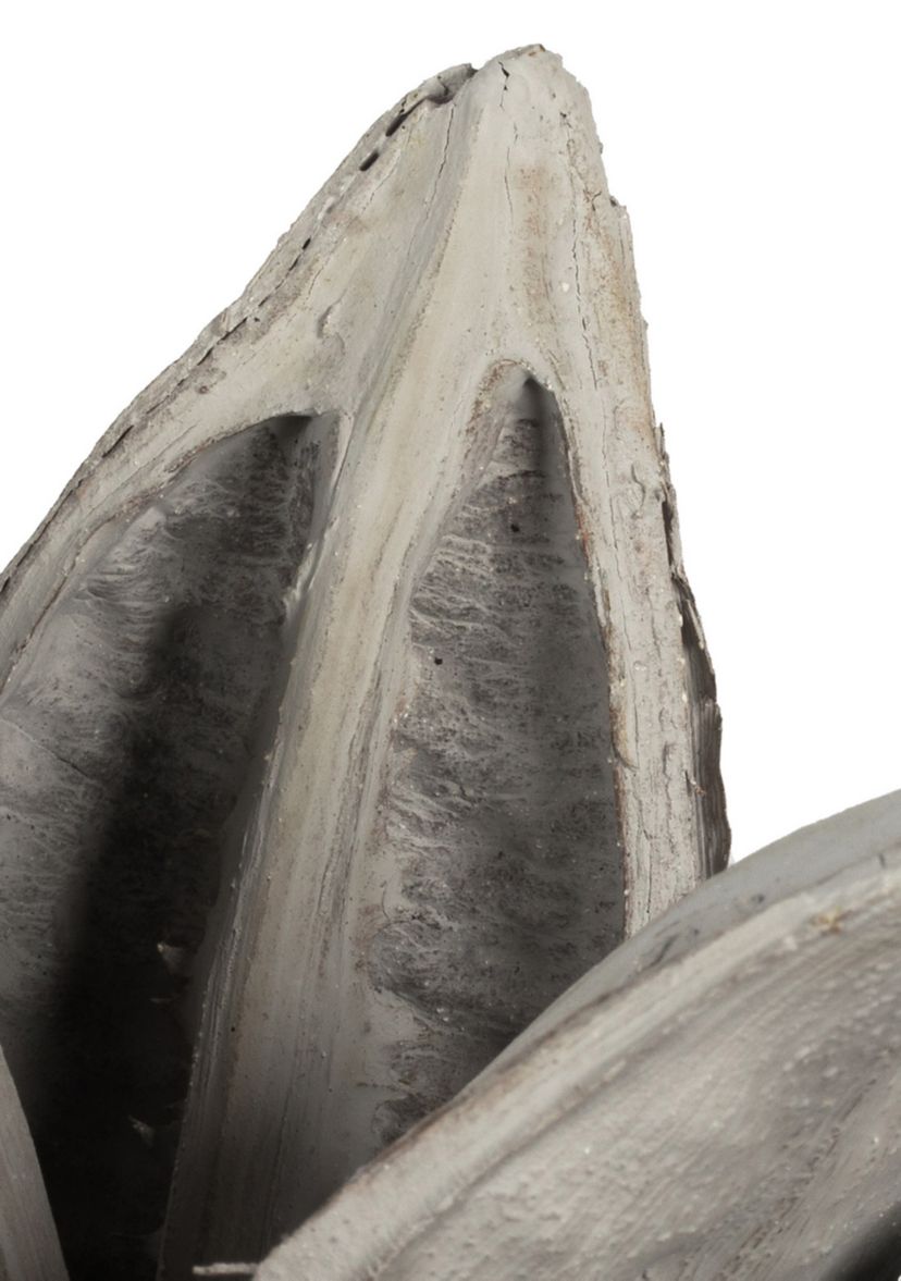 Gray Wash Star Pod