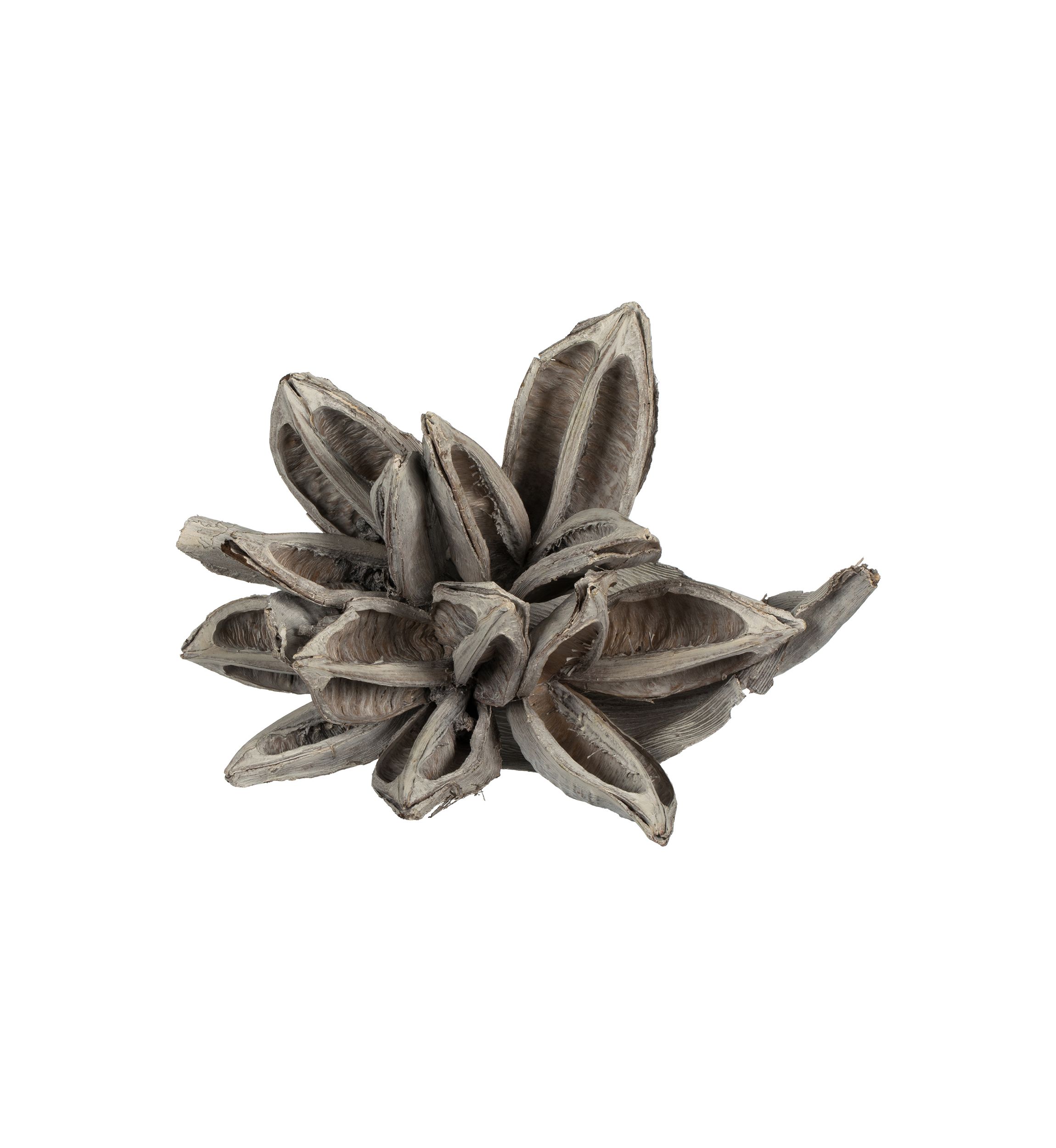 White Wash Star Pod 