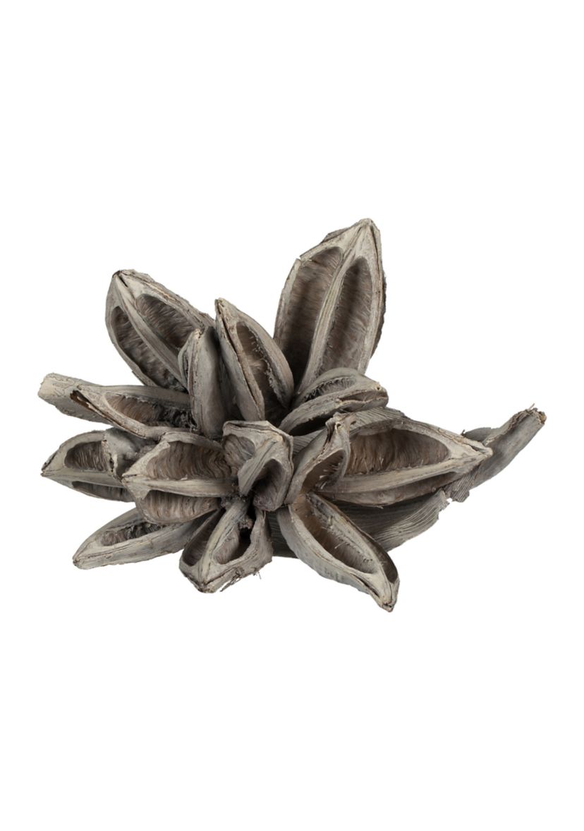 White Wash Star Pod 