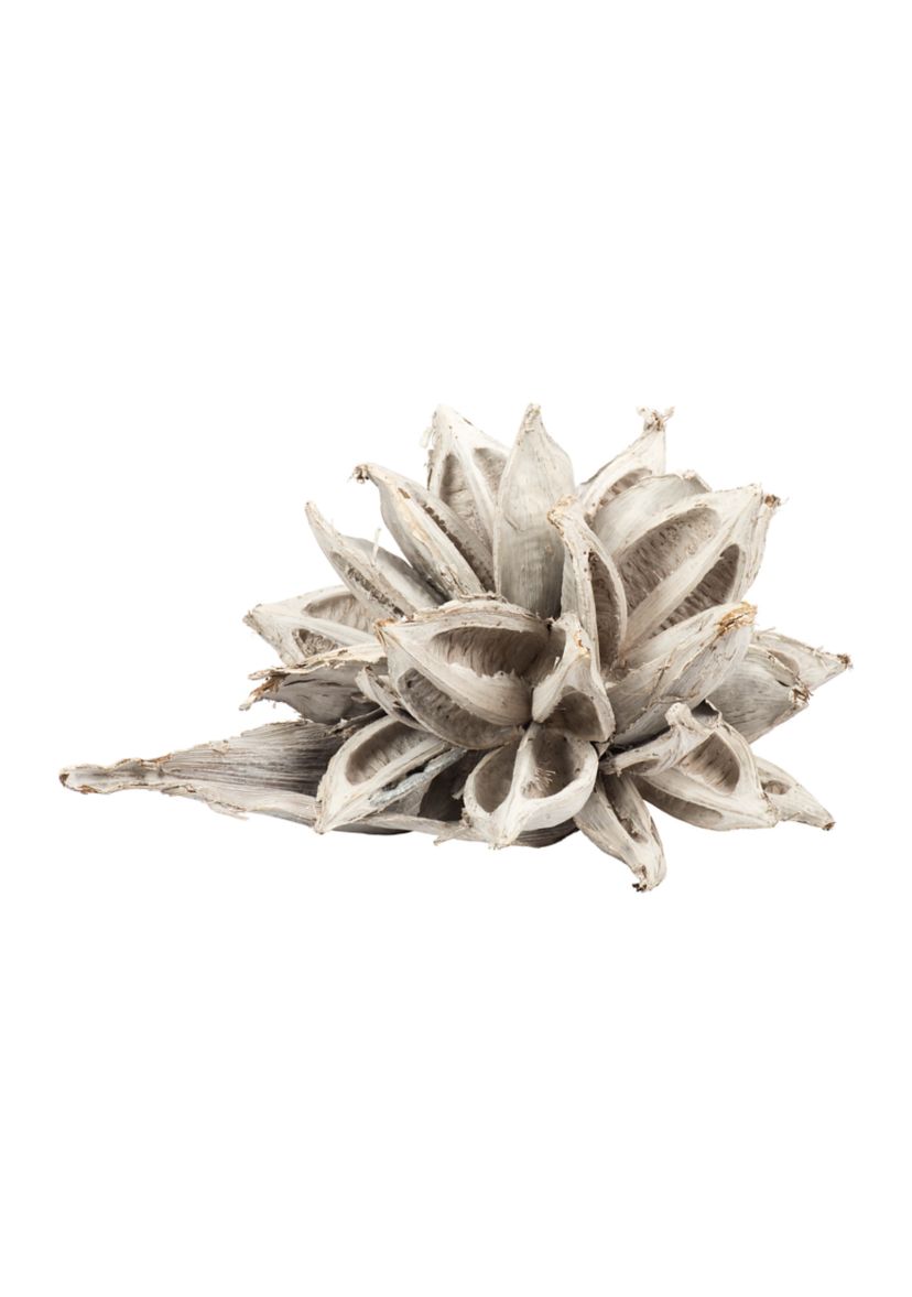 White Wash Star Pod