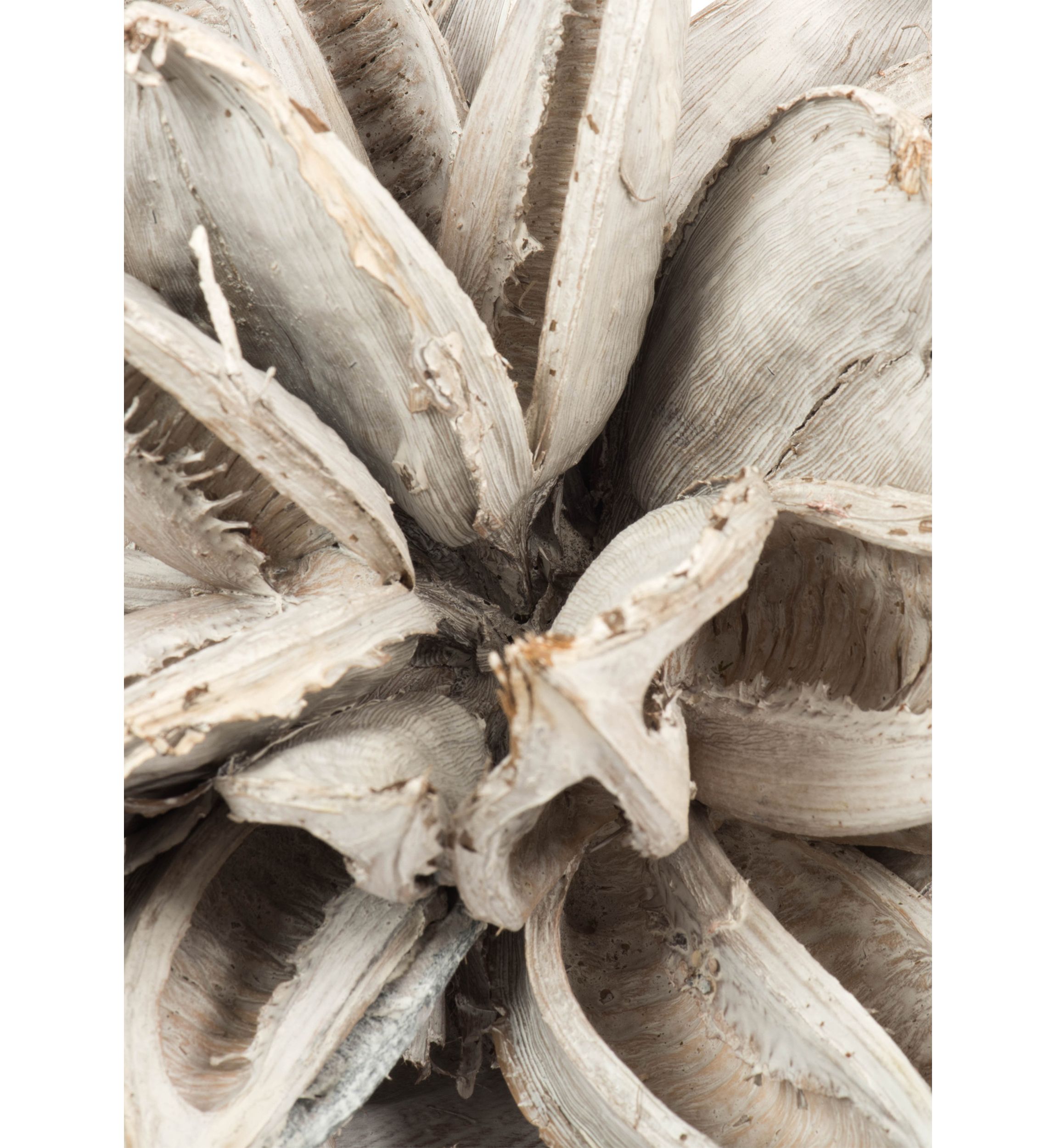White Wash Star Pod