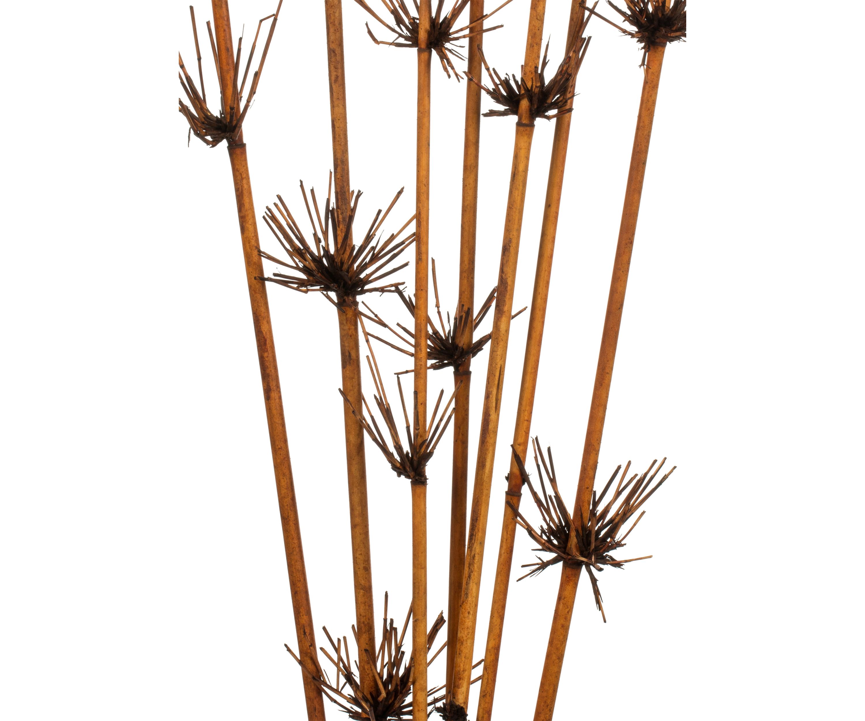 Brown Star Bamboo Reed