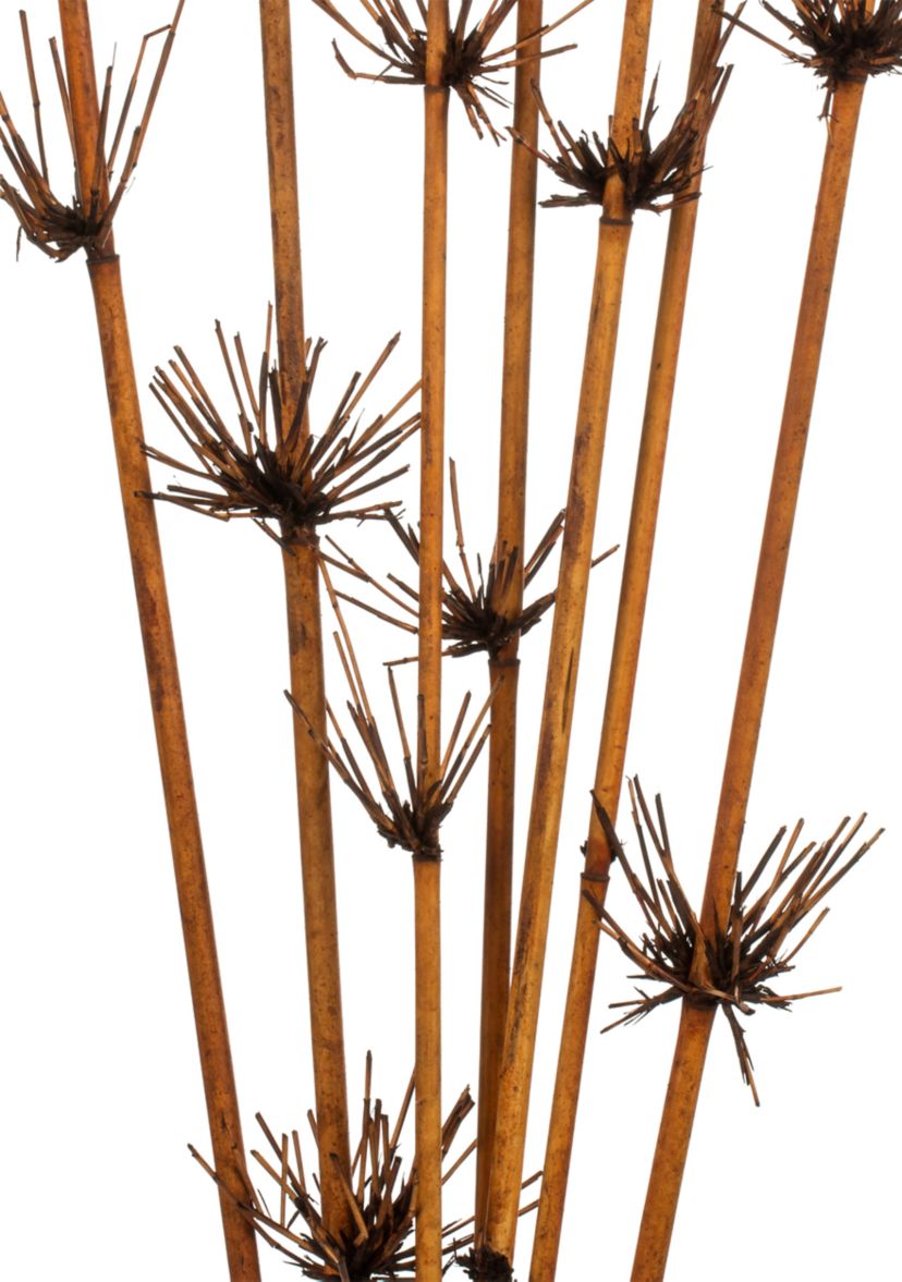 Brown Star Bamboo Reed