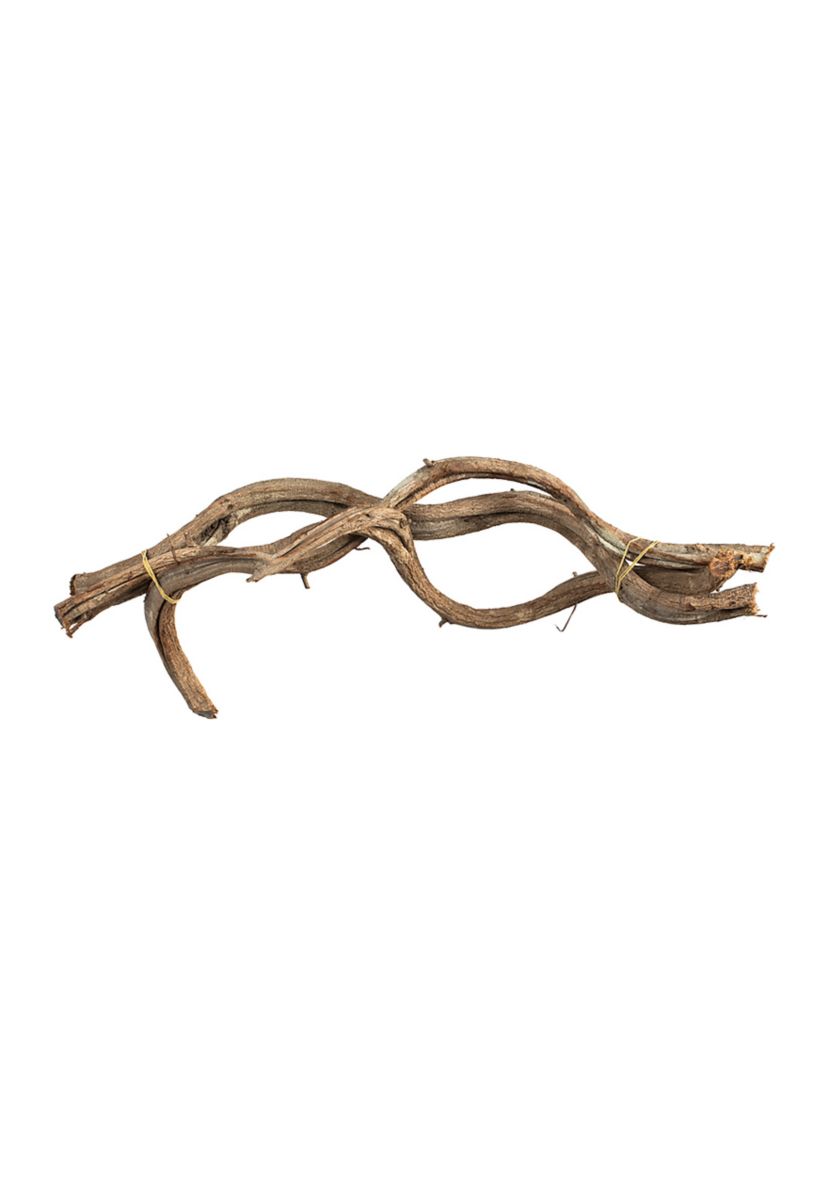 Natural Vine