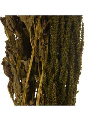 Light Green Amaranthus Bundle