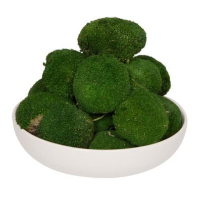 Vickerman Natural Botanicals 1 lb. Apple Green Pole Moss