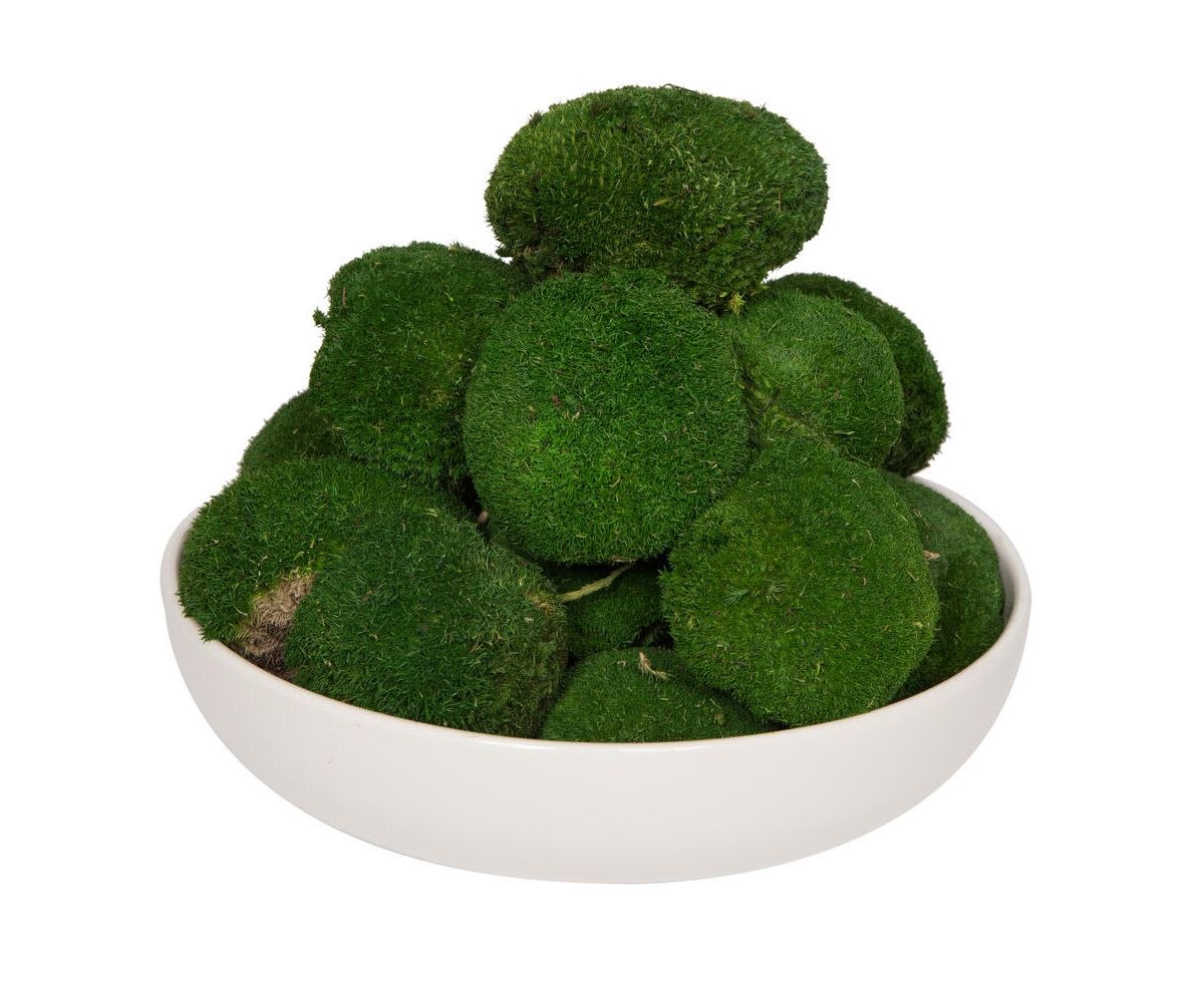 Vickerman Natural Botanicals 1 lb. Apple Green Pole Moss.