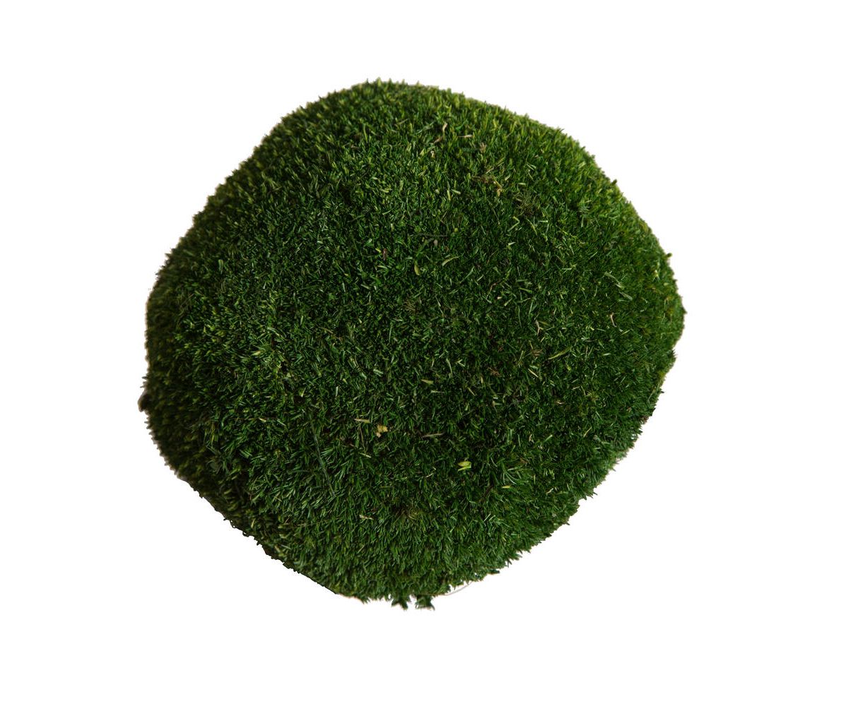 Vickerman Natural Botanicals 1 lb. Apple Green Pole Moss.