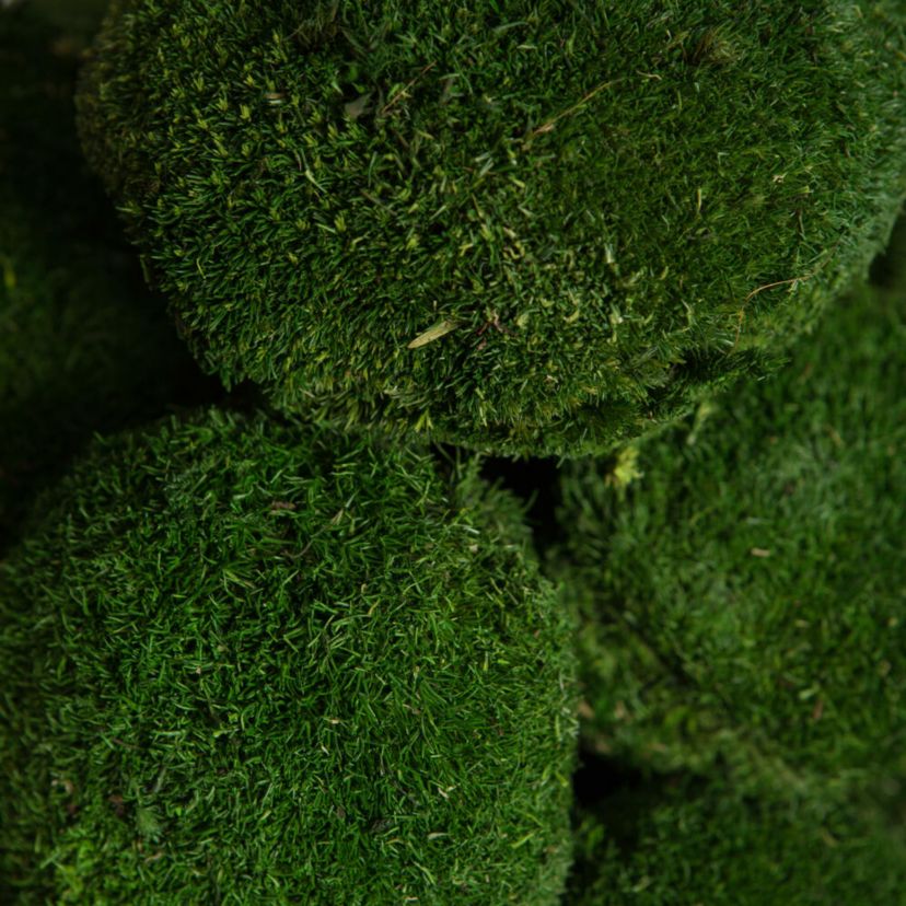 Vickerman Natural Botanicals 1 lb. Apple Green Pole Moss.