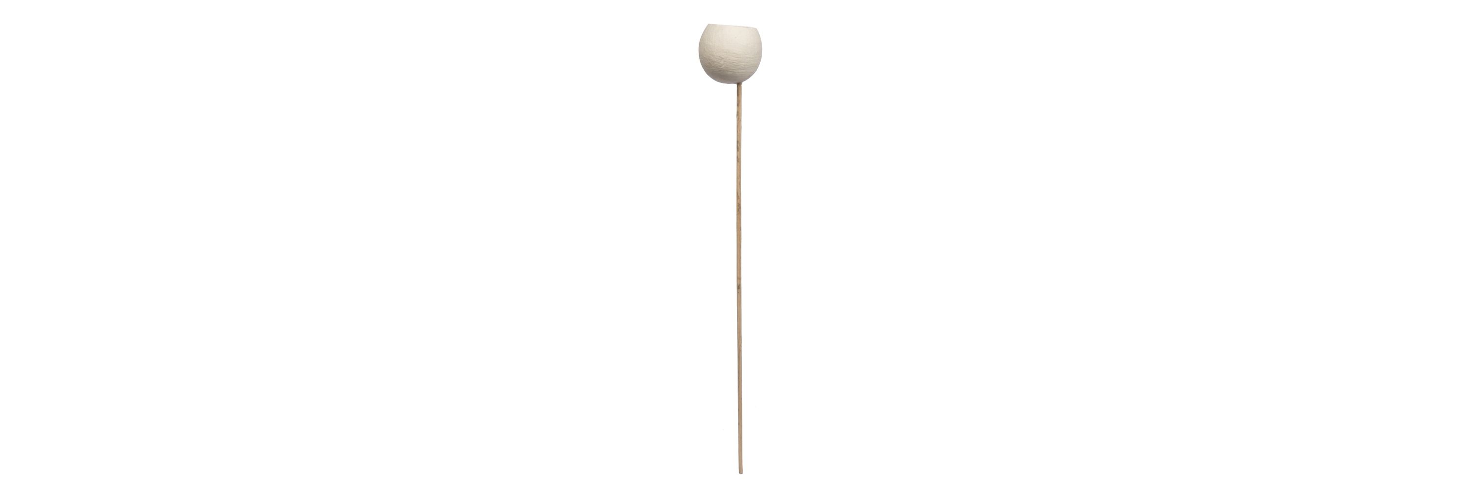Vickerman Natural Botanicals 20" Bell Cup, Bleached on Stem. Includes 40 Stems per Pack.