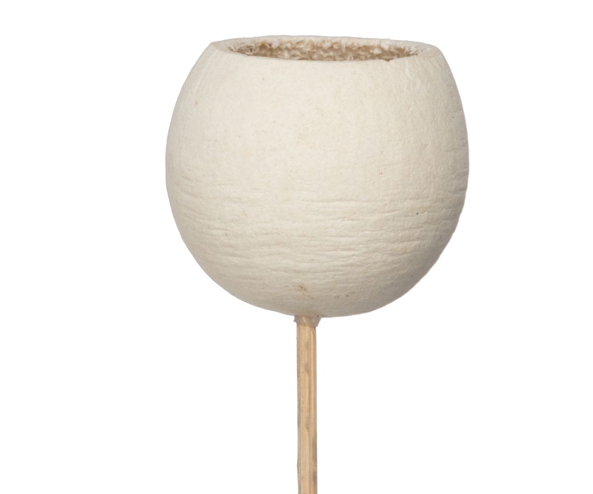 Vickerman Natural Botanicals 20" Bell Cup, Bleached on Stem. Includes 40 Stems per Pack.