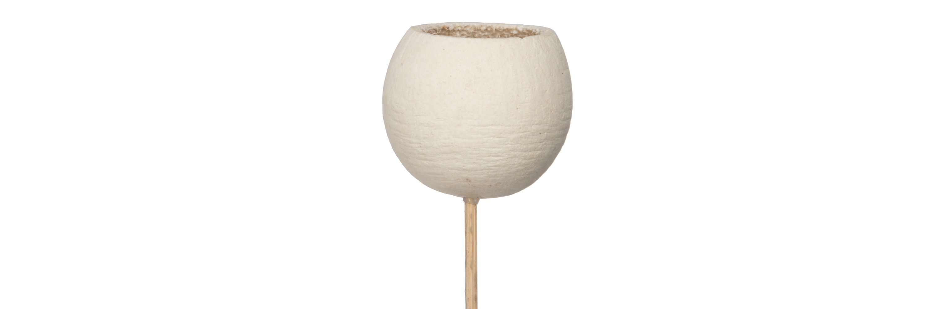 Vickerman Natural Botanicals 20" Bell Cup, Bleached on Stem. Includes 40 Stems per Pack.