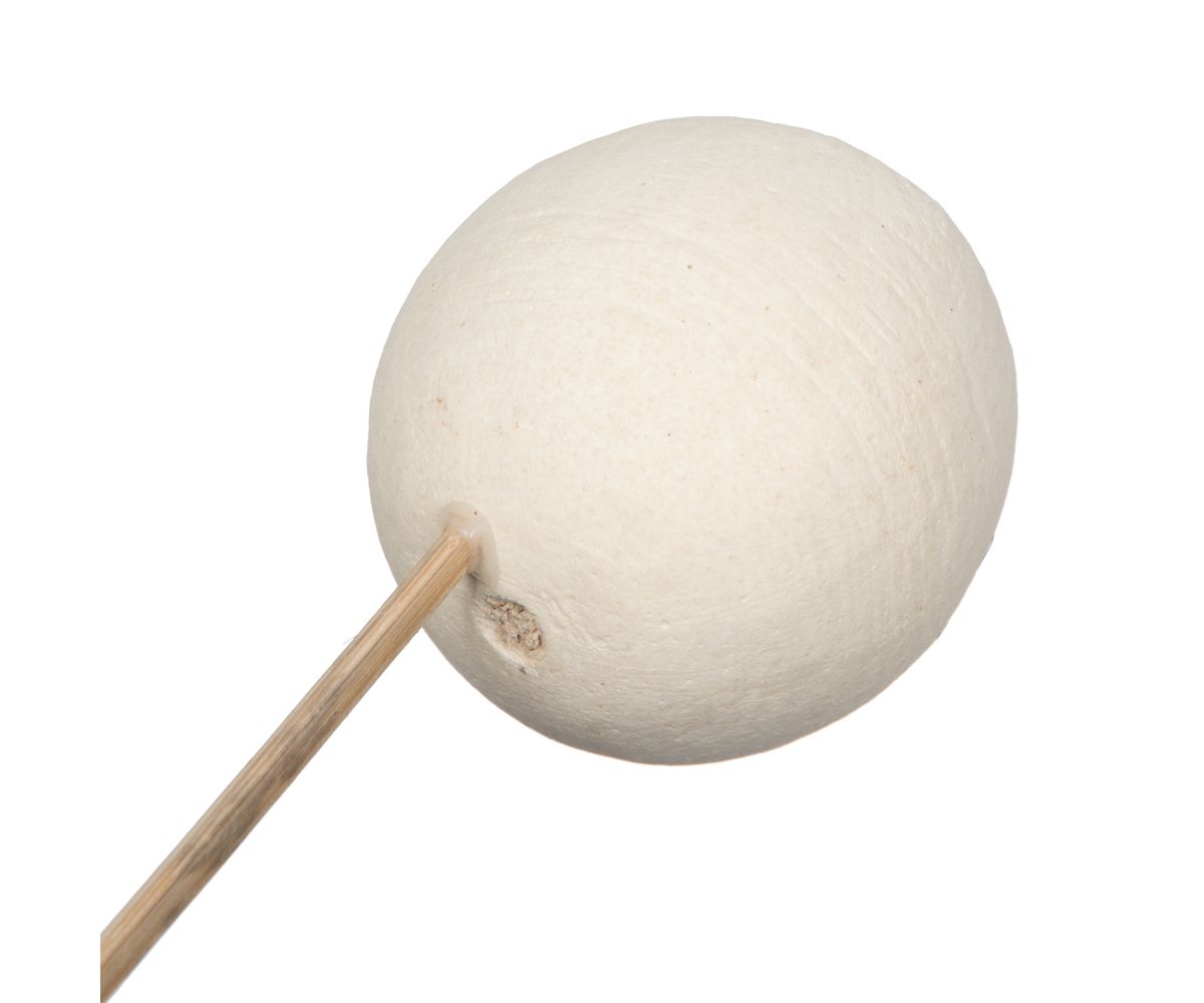 Vickerman Natural Botanicals 20" Bell Cup, Bleached on Stem. Includes 40 Stems per Pack.