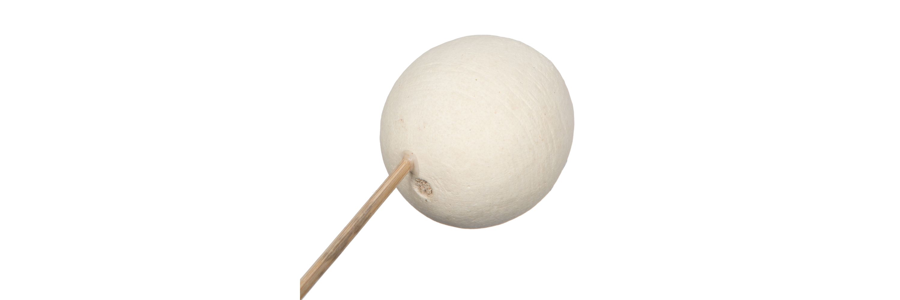 Vickerman Natural Botanicals 20" Bell Cup, Bleached on Stem. Includes 40 Stems per Pack.