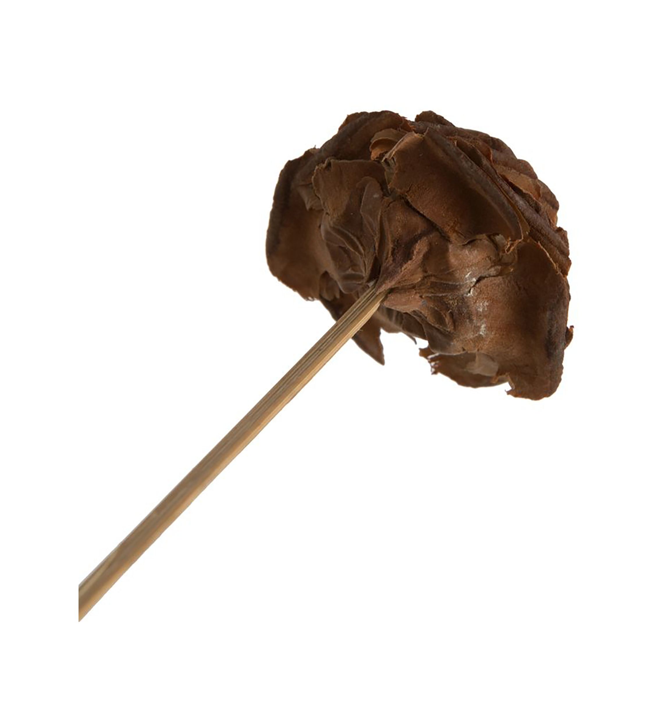 Natural Botanicals 1.3"-1.75" Cedar Rose, Natural on Stem. Includes 50 pieces per polybag