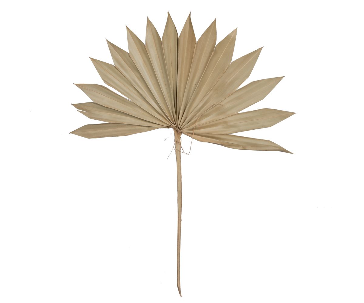 Vickerman Natural Botanicals 20" Palm Sun Spear, Natural. Includes 50 pieces per Pack.