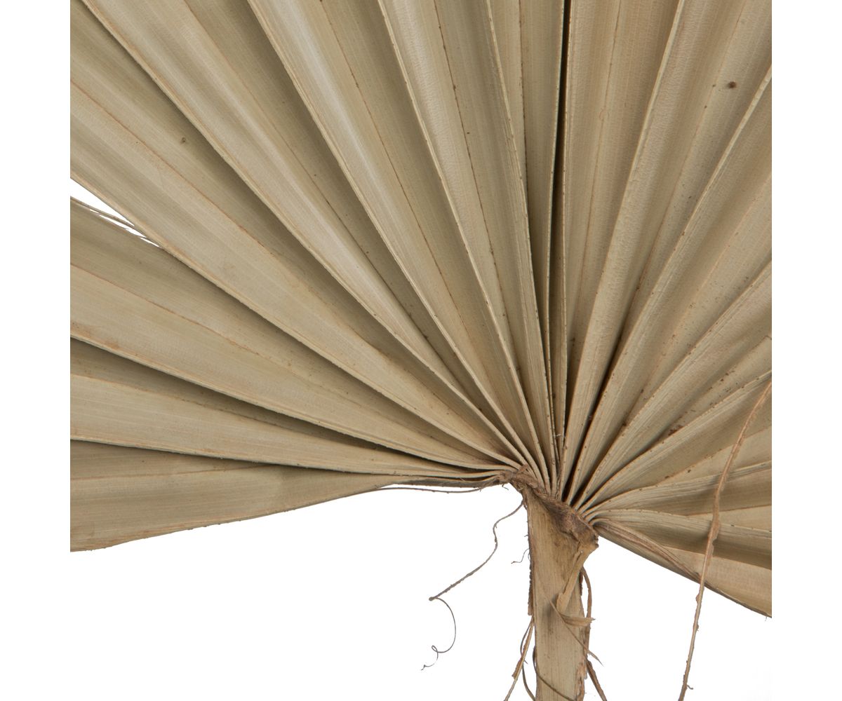 Vickerman Natural Botanicals 20" Palm Sun Spear, Natural. Includes 50 pieces per Pack.