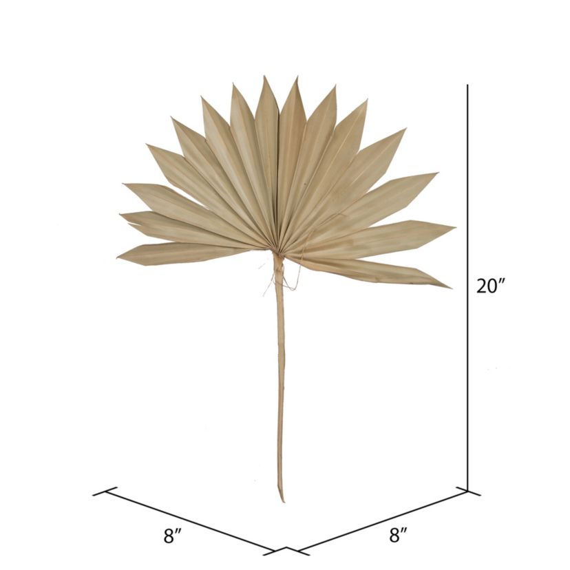 Vickerman Natural Botanicals 20" Palm Sun Spear, Natural. Includes 50 pieces per Pack.
