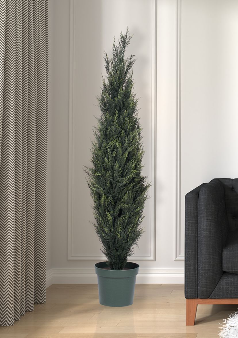 Potted UV Resistant Pond Cypress Tree