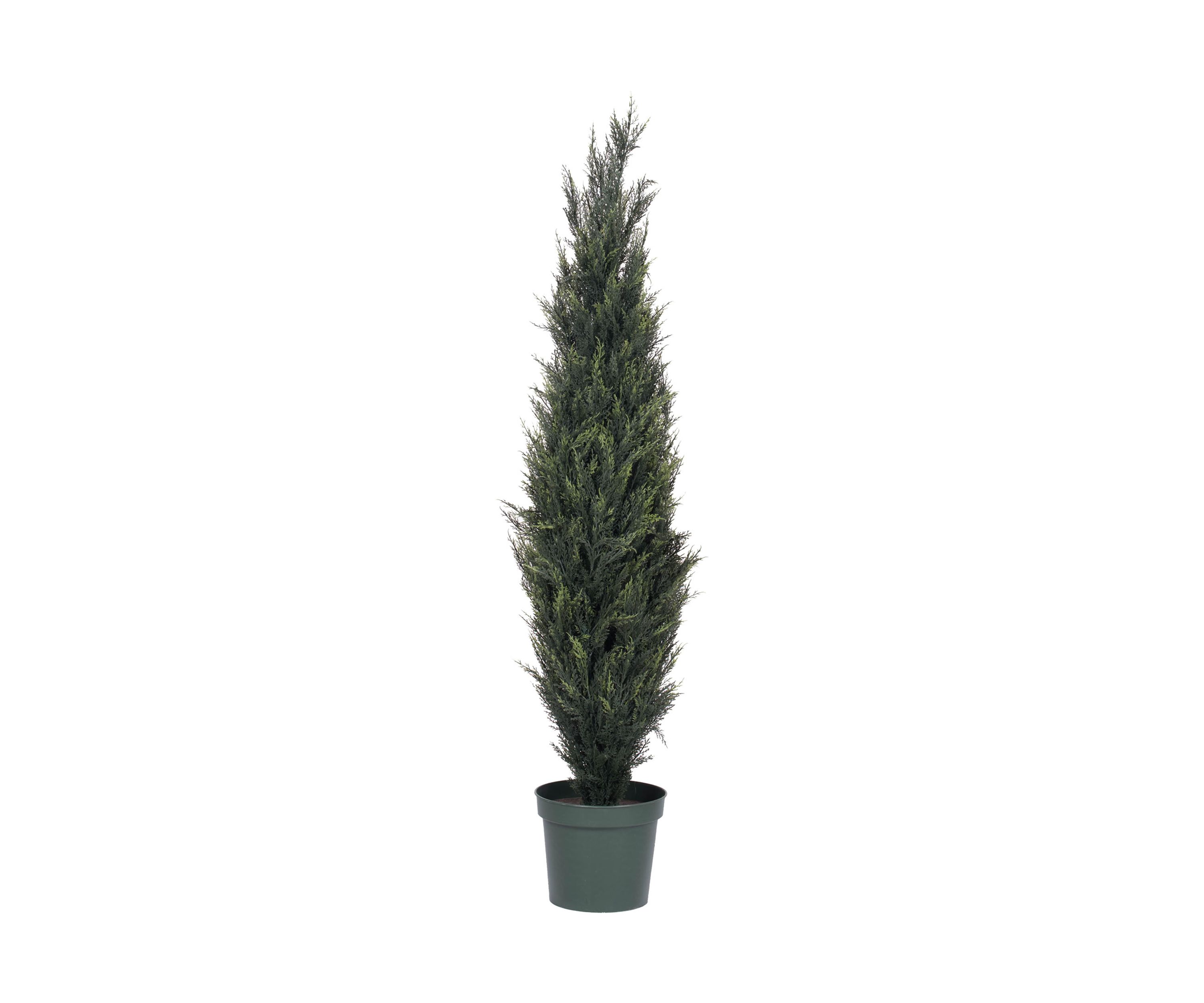 Potted UV Resistant Pond Cypress Tree