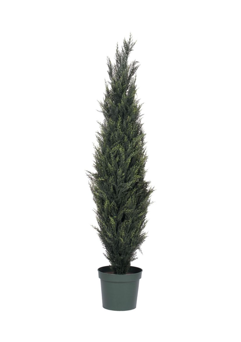 Potted UV Resistant Pond Cypress Tree
