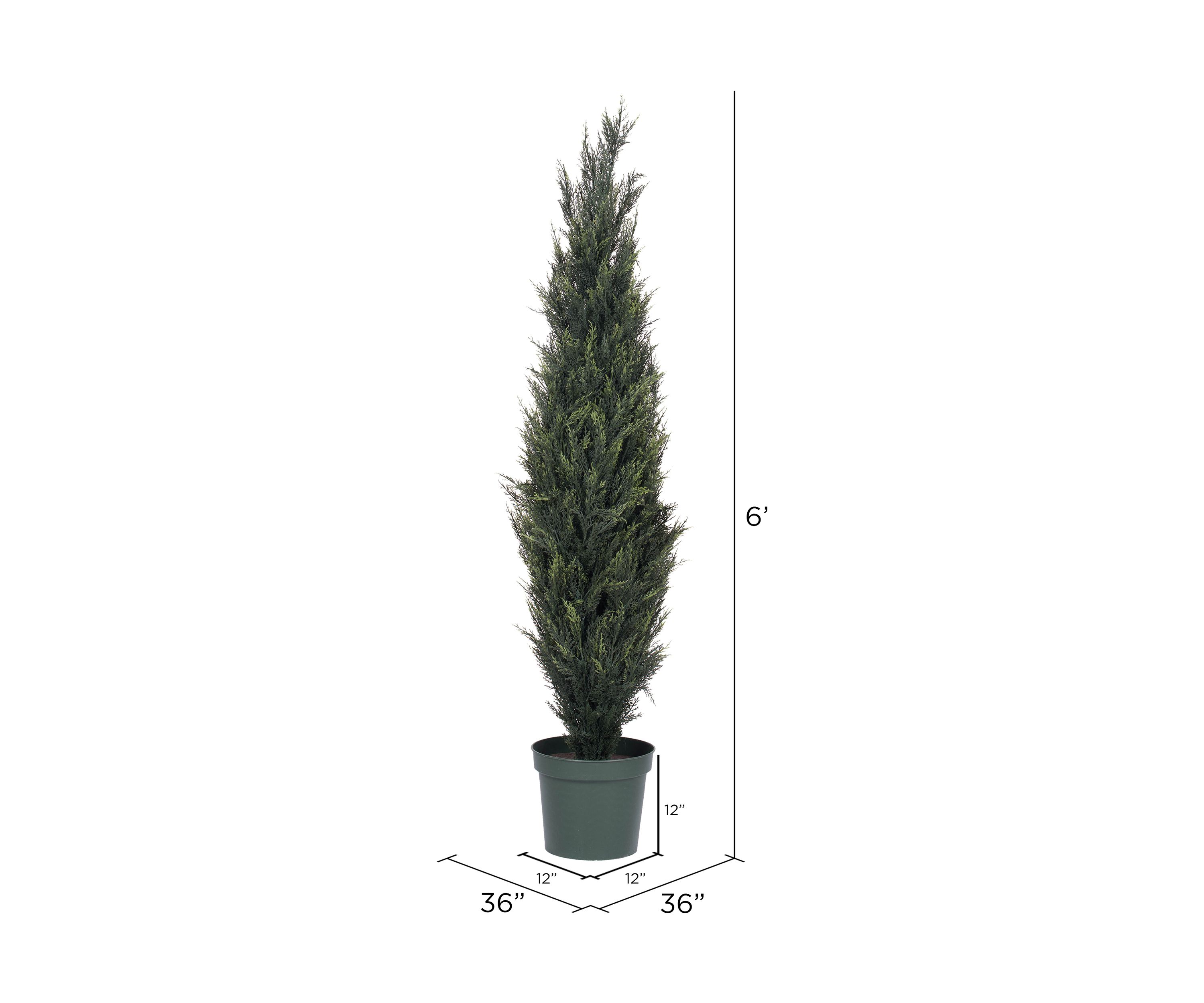 Potted UV Resistant Pond Cypress Tree