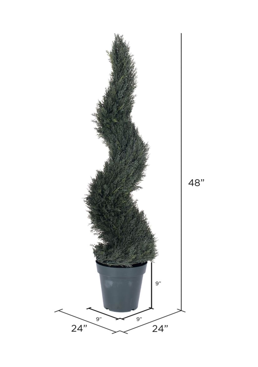 Potted Resistant Pond Cypress Spiral