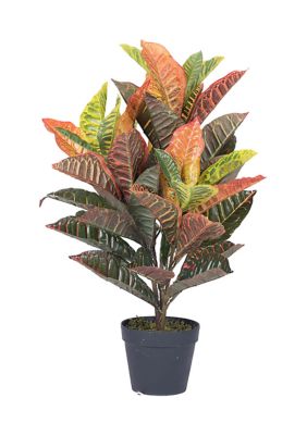Vickerman 30" Artificial Croton