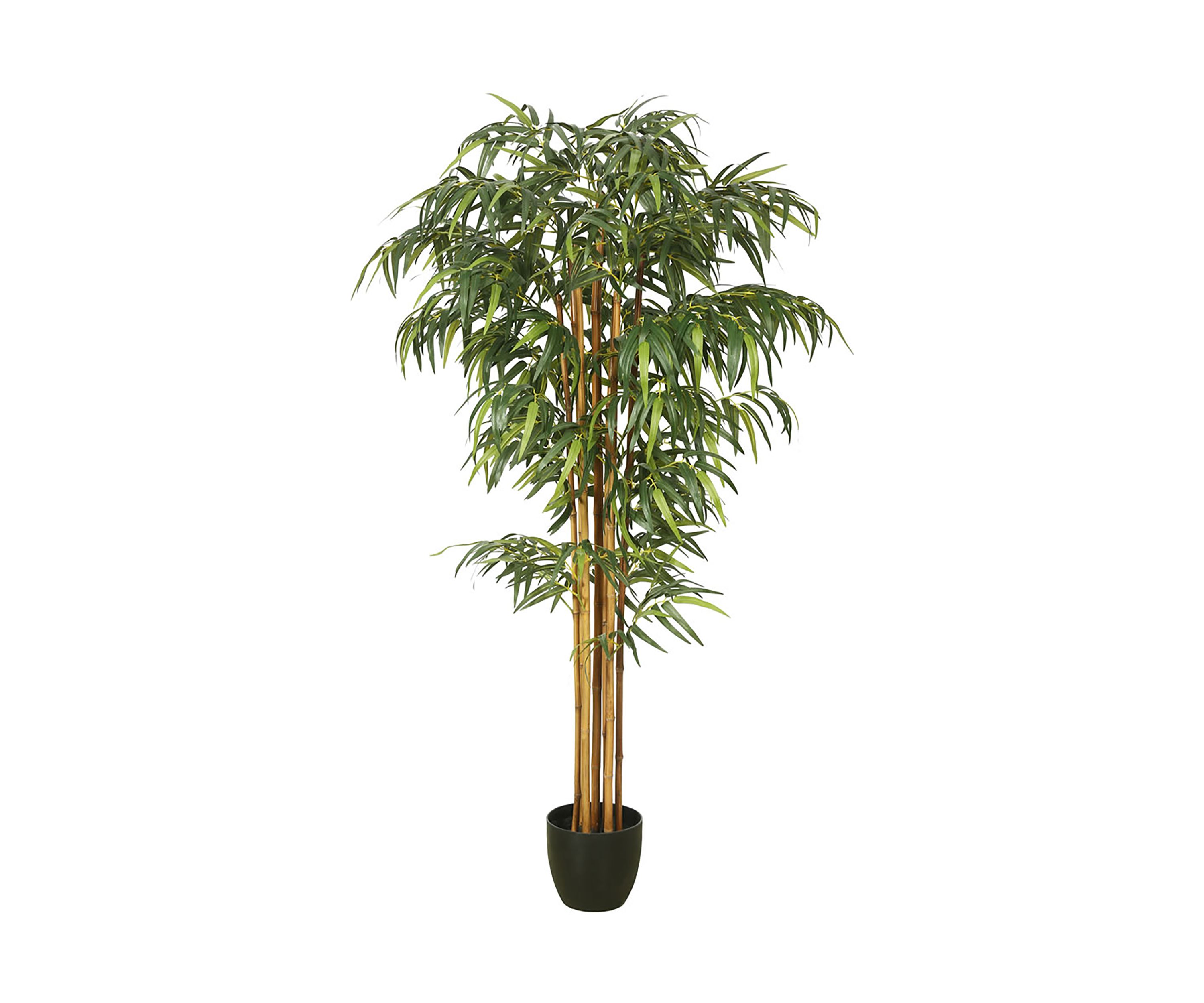 Vickerman 6 Artificial Green Bamboo Tree.