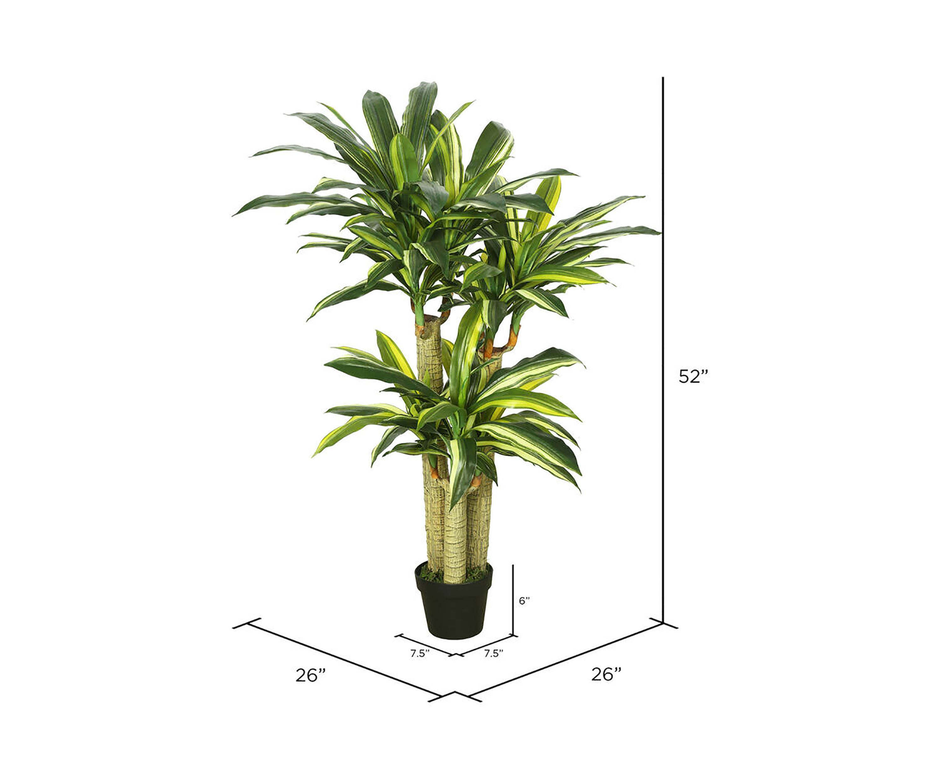 Vickerman 52" Artificial Green and Yellow Real Touch Dracaena Tree.